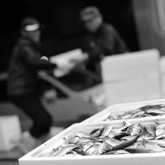 鮮魚課(仲買・仲卸)